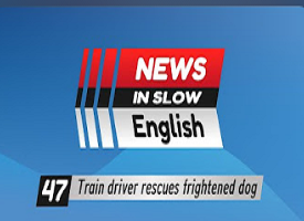 سلسلة- News- In- Slow- English